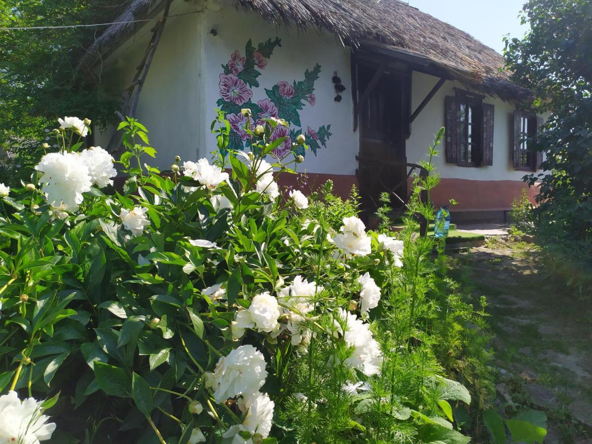 Maison d'hôtes Koryakivskyi Rai à Dmitrenki Extérieur photo