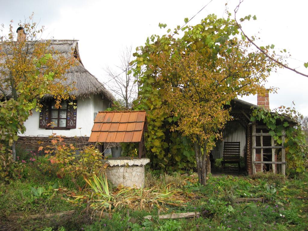 Maison d'hôtes Koryakivskyi Rai à Dmitrenki Extérieur photo