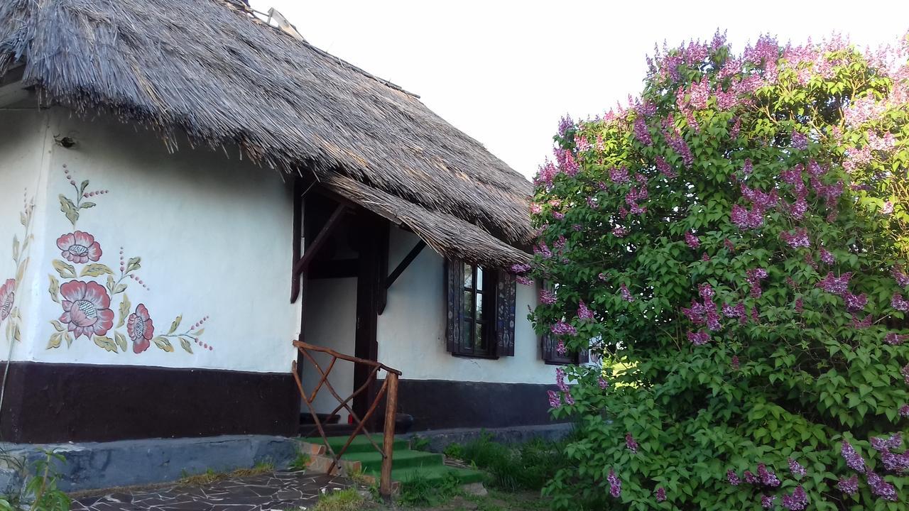 Maison d'hôtes Koryakivskyi Rai à Dmitrenki Extérieur photo