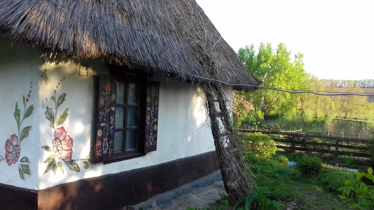 Maison d'hôtes Koryakivskyi Rai à Dmitrenki Extérieur photo