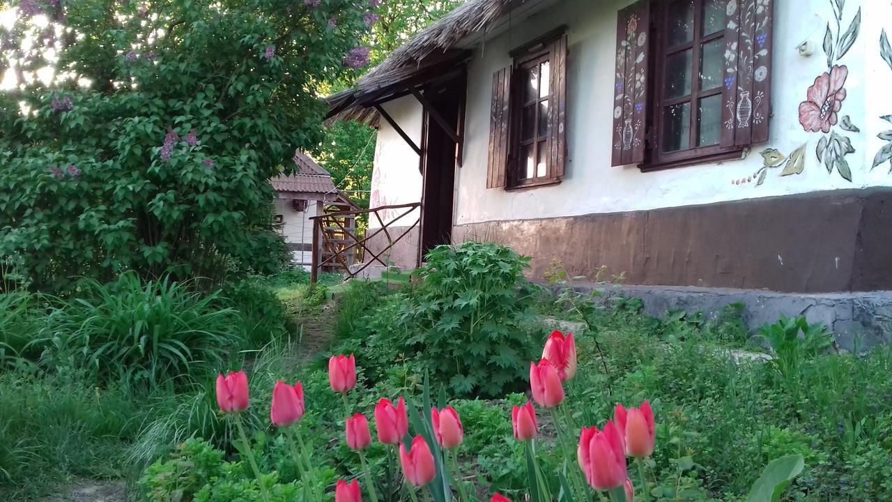 Maison d'hôtes Koryakivskyi Rai à Dmitrenki Extérieur photo