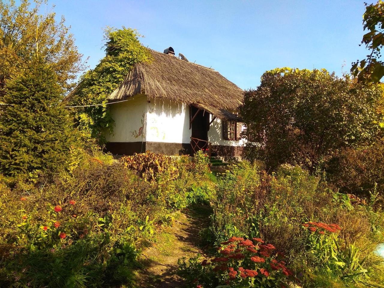 Maison d'hôtes Koryakivskyi Rai à Dmitrenki Extérieur photo