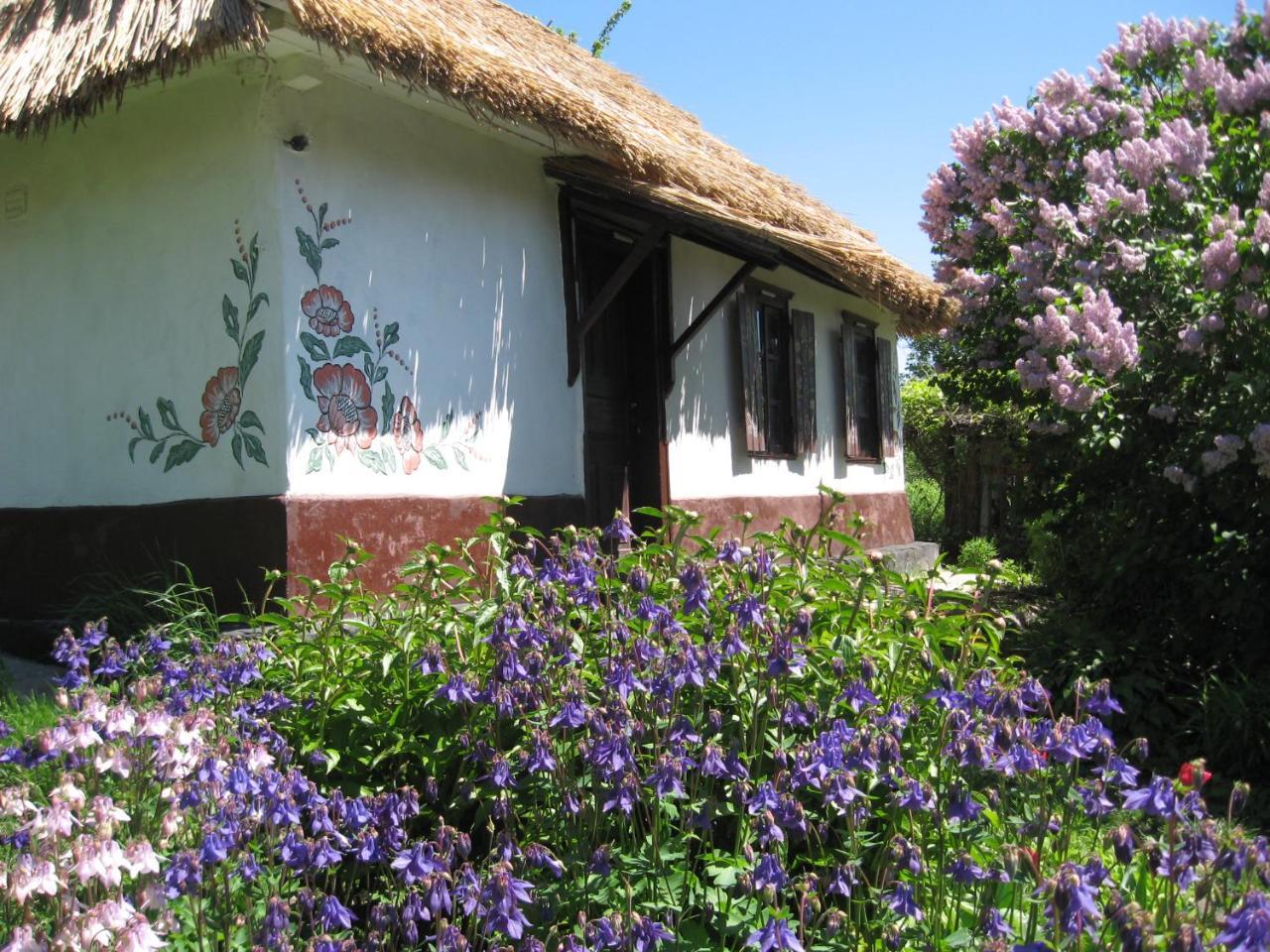 Maison d'hôtes Koryakivskyi Rai à Dmitrenki Extérieur photo