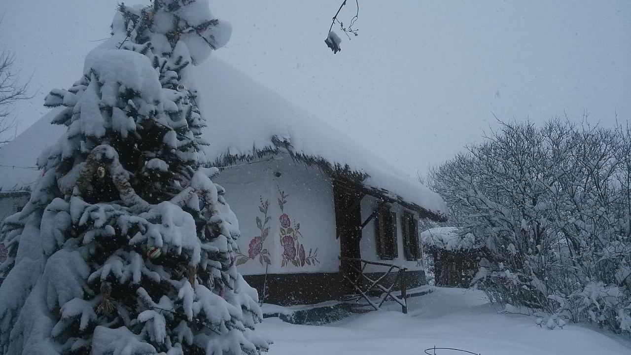 Maison d'hôtes Koryakivskyi Rai à Dmitrenki Extérieur photo